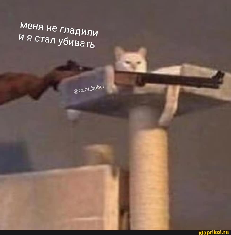 Меня не гладили