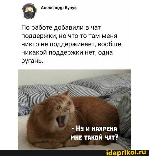 Александр Кучук
По работе добавили в чет поддержки, но что-то там меня никто не поддерживает, вообще никакой поддержки нет, одна ругань.
Ну НАХРЕНА
МНЕ ТАКОЙ