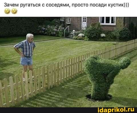 Зачем ругаться с соседями, просто посади кустик)))