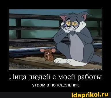 Лица людей с моей работы
утром понелельник