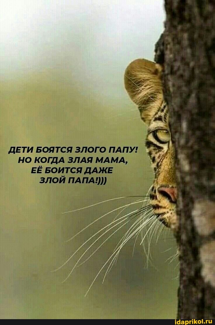 ДЕТИ БОЯТСЯ ЗЛОГО ПАПУ!
НО КОГДА ЗЛАЯ МАМА,
ЕЁ БОИТСЯ ДАЖЕ
ЗЛОЙ ПАПА