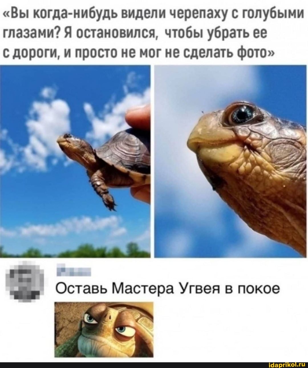 "Вы когда-нибудь видели черепаху с голубыми глазами? Я остановился, чтобы убрать ее с дороги, и просто не мог не сделать фото"
РЕ.
Оставь Мастера Угвея покое