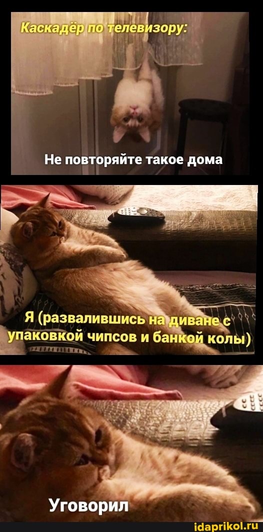 зору:
Не повторяйте такое дома
(развалившись
паковкой чипсов ба колы)
Уговорил