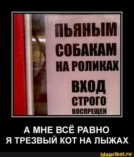 ВОСПРЕЩЕН
МНЕ ВСЁ РАВНО Я ТРЕЗВЫЙ КОТ НА ЛЫЖАХ