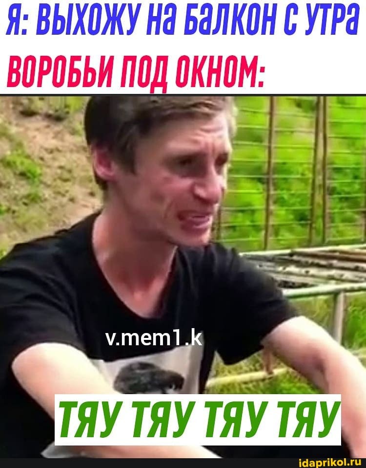Я: ВЫХОЖУ На БаЛКОН УТРа
ВОРОБЬИ ПОД ОКНОМ:
