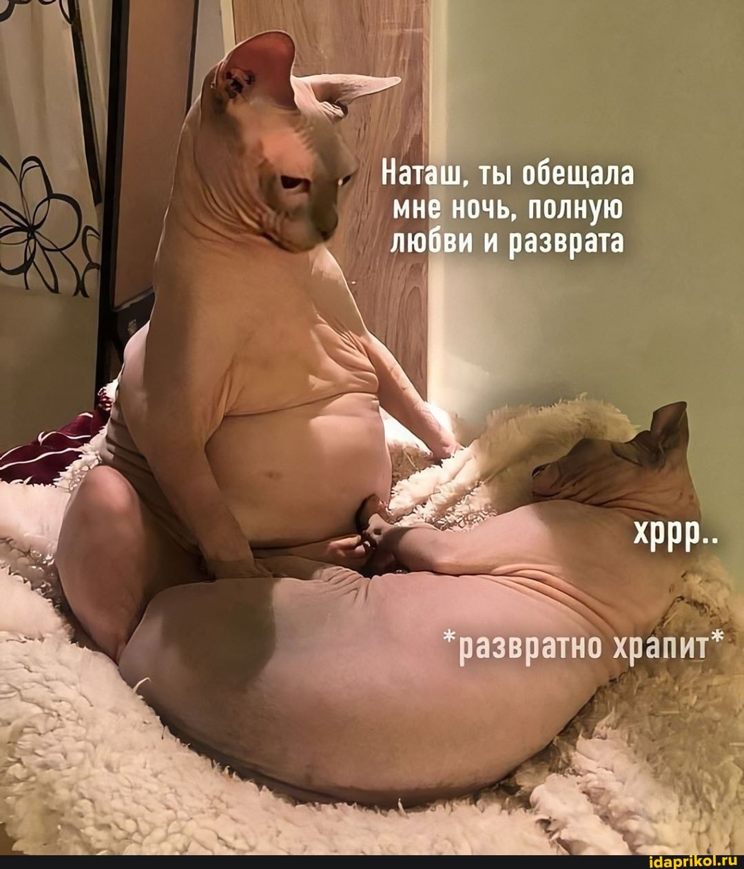 Наташ, ты обещала мне ночь, полную любви и разврата