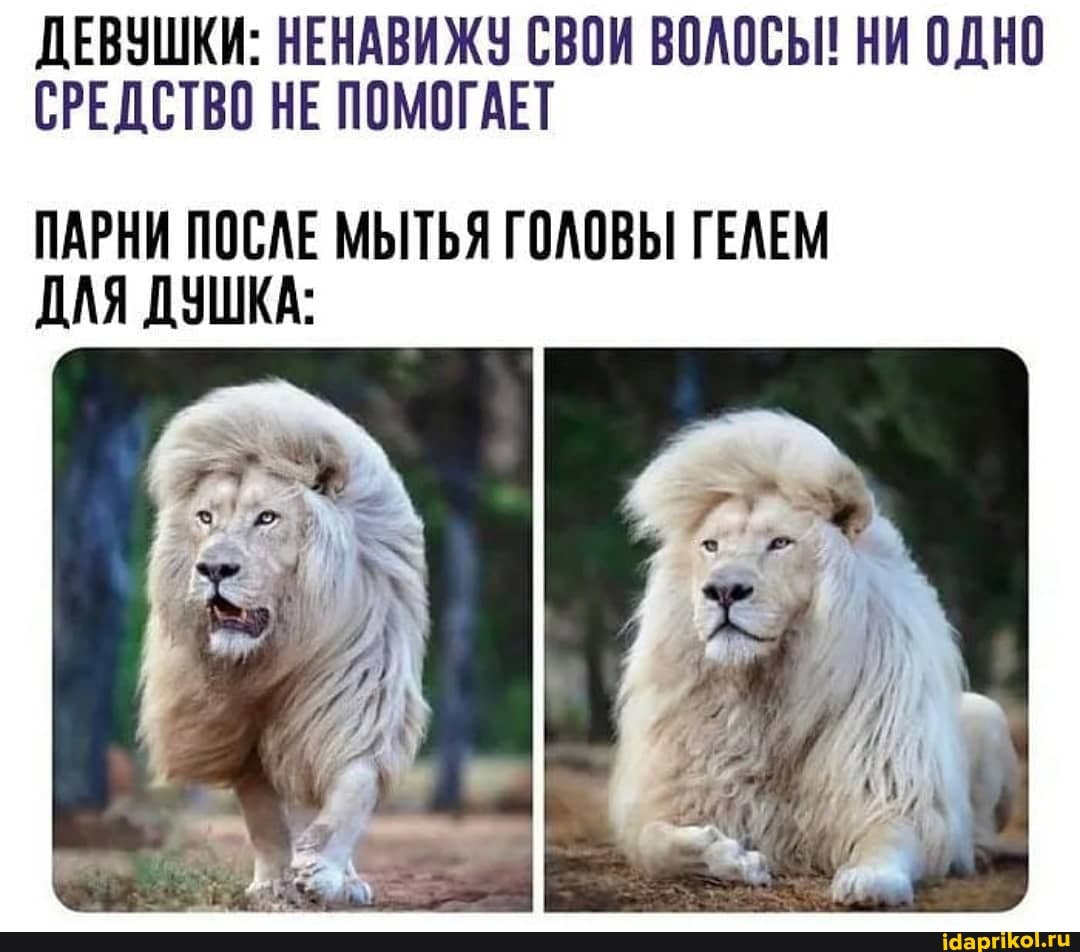 ДЕВУШКИ: НЕНАВИЖУ СВОИ ВОЛОСЫ! НИ ОДНО СРЕДСТВО НЕ ПОМОГАЕТ
ПАРНИ ПОСЛЕ МЫТЬЯ ГОЛОВЫ ГЕЛЕМ ДЛЯ ДУШКА: