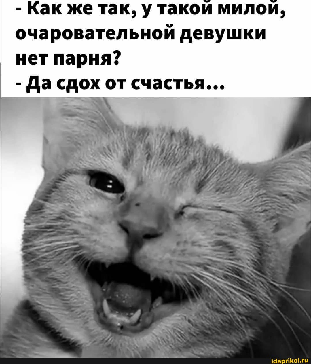 - Как же так, у такои милои, очаровательной девушки нет парня?
- Да сдох от счастья...