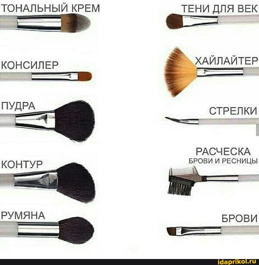 ТОНАЛЬНЫЙ КРЕМ
КОНСИЛЕР
ПУДРА
КОНТУР
РУМЯНА
ТЕНИ ДЛЯ ВЕК
ХАЙЛАЙТЕР
СТРЕЛКИ
РАСЧЕСКА БРОВИ И РЕСНИЦЫ
БРОВИ