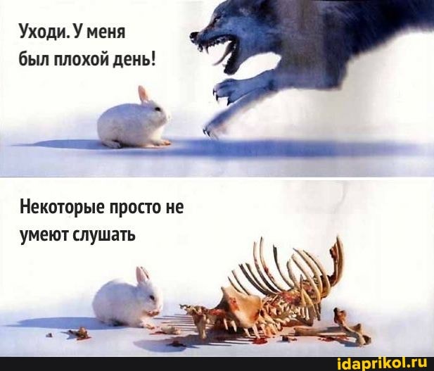 Уходи. У меня был плохой день!
Некоторые просто не умеют слушать