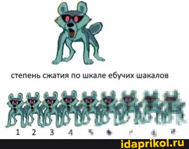 548a09b20a97141ab3bca26fb2f9fda909b3762af211be12411c0c605cd0d1f1_1.jpg