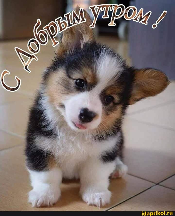 Супер!