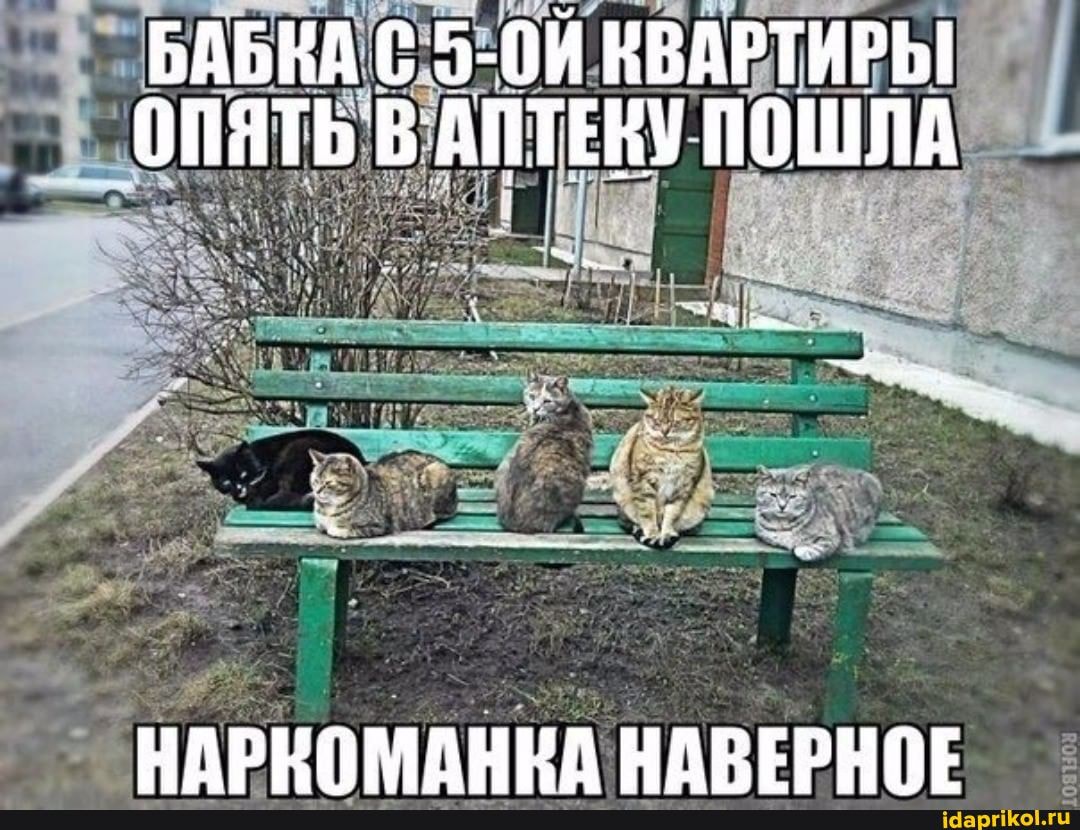 БАБКА С 5-ОИ НВАРТИРЫ ОПЯТЬ ББ АПТЕКУ ПОШЛА
УАРНОМАНИЙ НАРЕРНИЕ