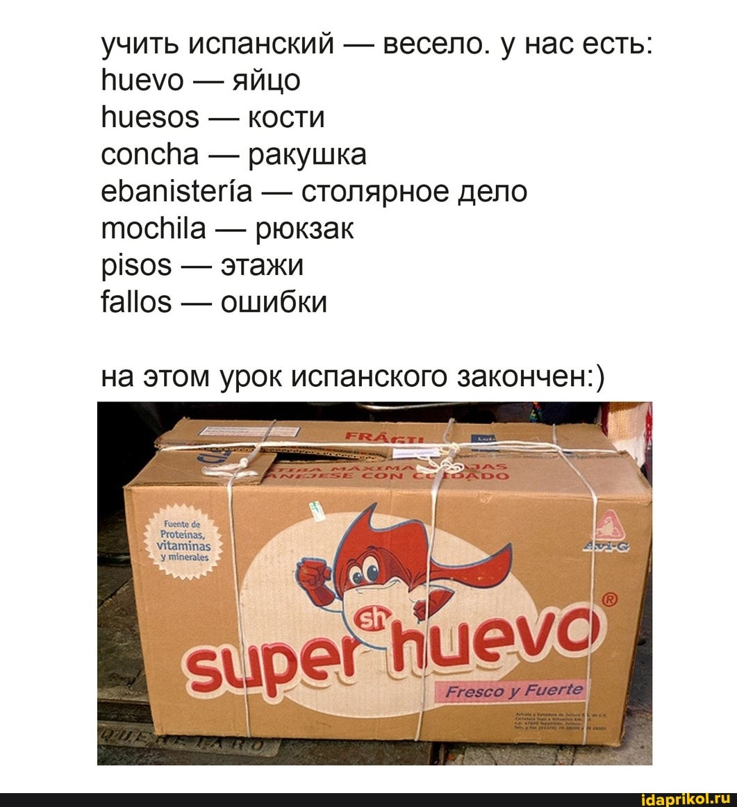 учить испанский
весело. у нас есть:
яйцо
huesos
кости
сопспа
ракушка
ебап {ета
столярное дело
mochila
pisos Та!о$ ошибки
на этом урок испанского закончен:)
