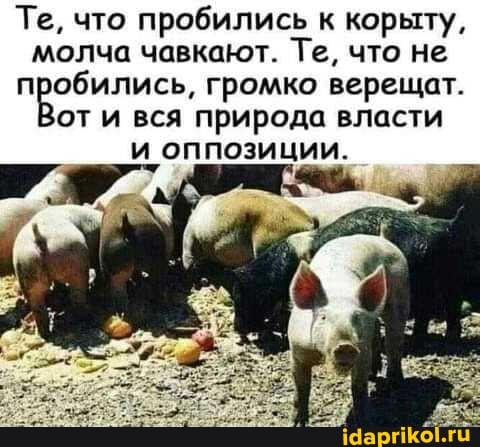 Те, что пробились к корыту, молча чавкают. Те, что не пробились, громко верещат.
от и вся природа власти и оппозиции.