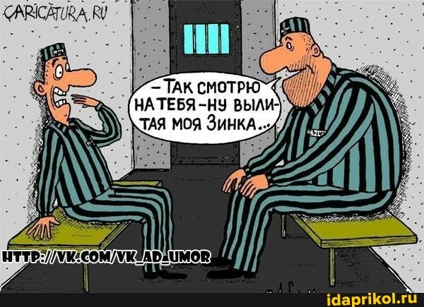 Вот это прикол! Смотреть всем!
