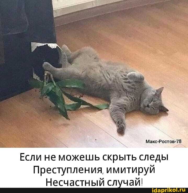 Макс-Ростов-78
Если не можешь скрыть следы
Преступления имитируй