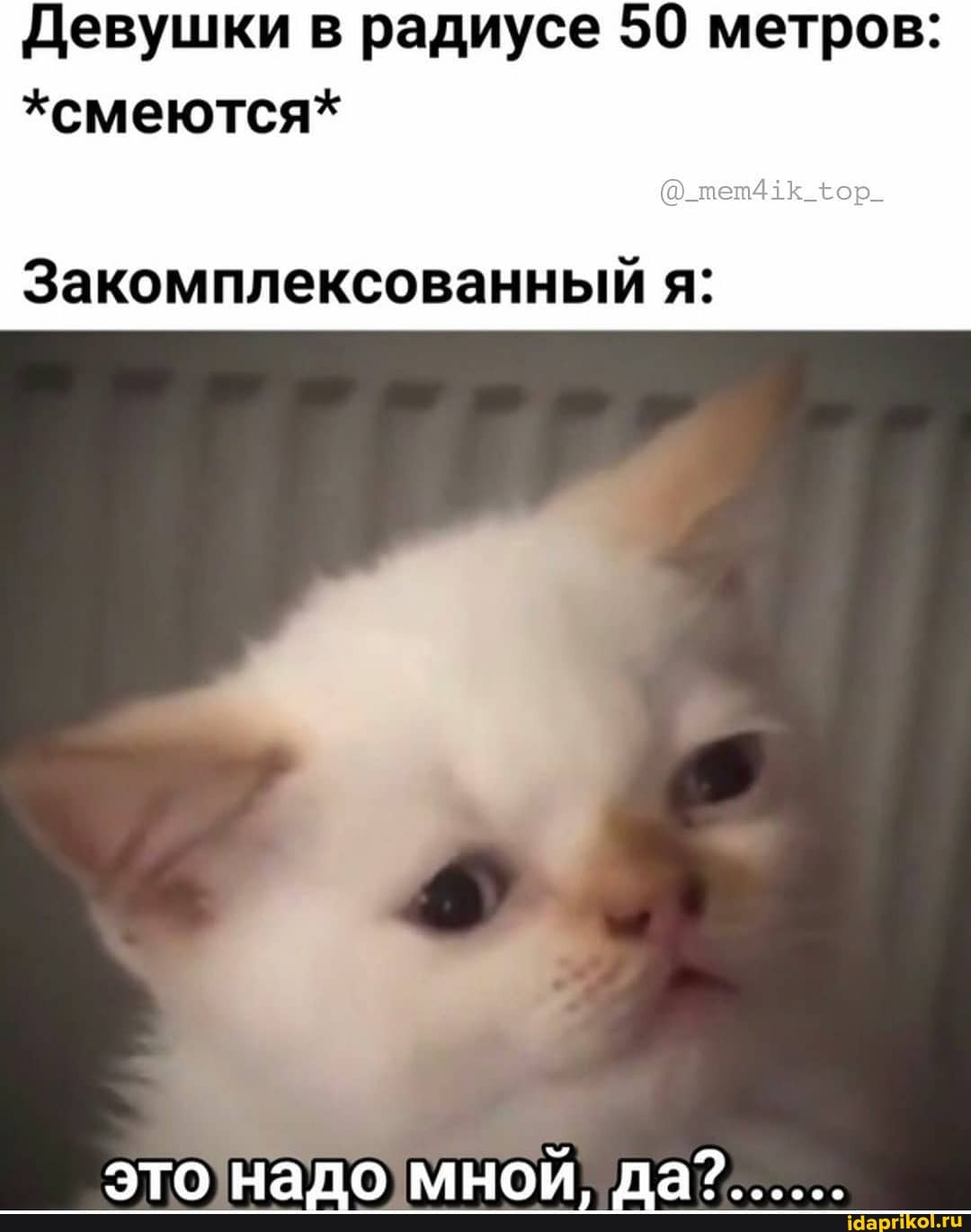 Девушки в радиусе 50 метров:
*смеются*
Закомплексованный я:
