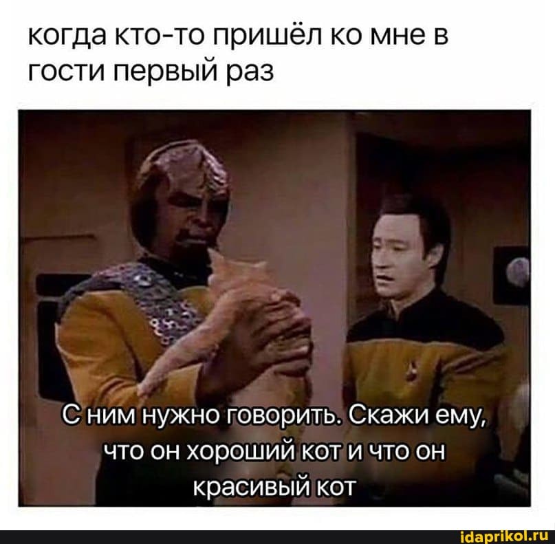 когда кто-то пришёл ко мне в гости первый раз
С ним нужно говорить. Скажи ему, что он хороший кот и что он красивый кот