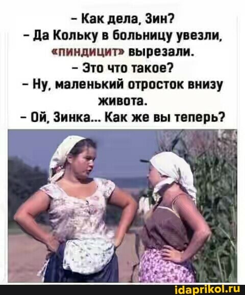 - Как дела, Зин?
Да Кольку в больницу увезли,
"пиндицит" вырезали.
Это что такое?
Ну, маленький отросток внизу живота.
- ОЙ, Зинка... Как же вы теперь?