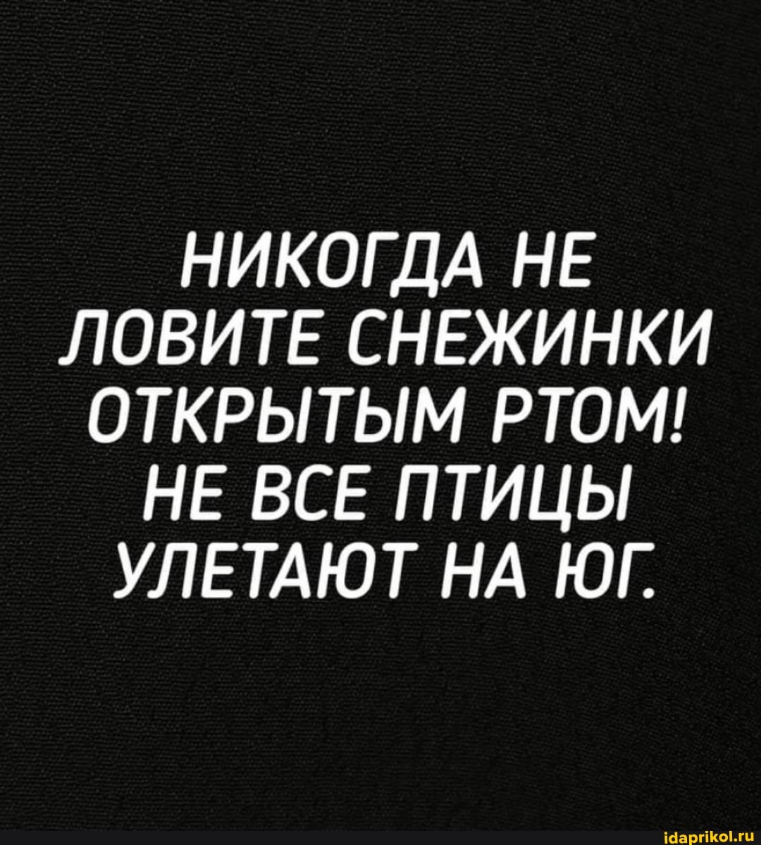 НИКОГДА НЕ ЛОВИТЕ СНЕЖИНКИ ОТКРЫТЫМ РТОМ!
НЕ ВСЕ ПТИЦЫ УЛЕТАЮТ НА ЮГ.