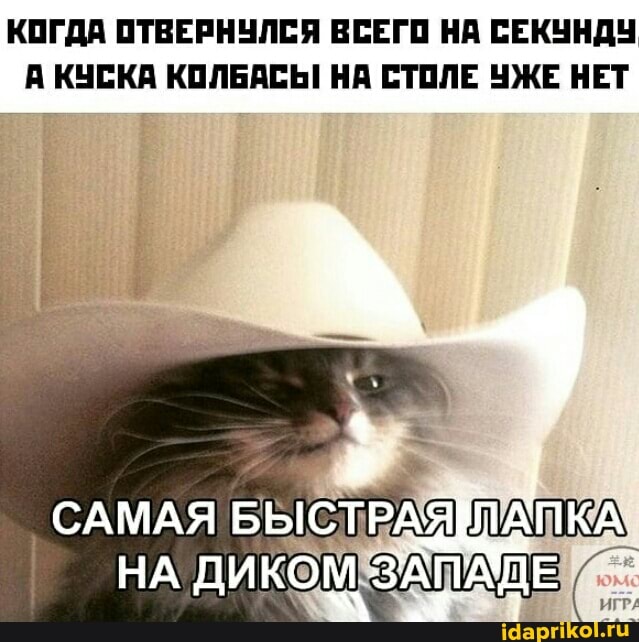 КОГДА ОТВЕРНУЛСЯ ВСЕГО НА СЕКУНДУ КУСКА КОЛБАСЬ! НА СТОЛЕ УЖЕ НЕТ
САМАЯ БЫСТРАЯ ТАТКА
НА ДИКОМ
