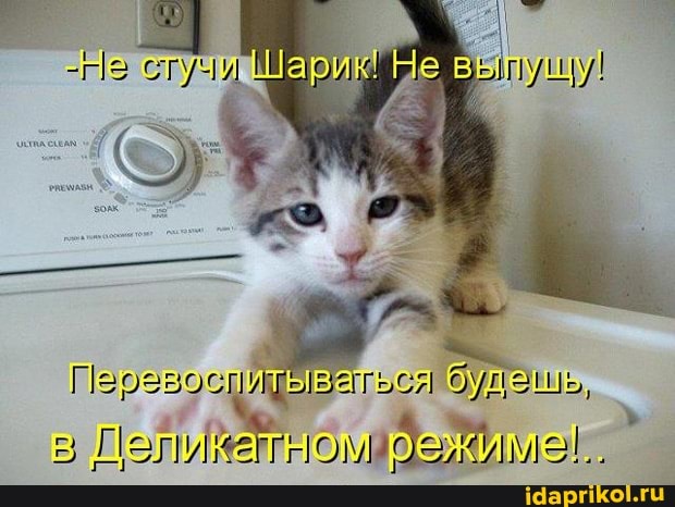 Перевоспитываться Эудешь,
Деликатном режиме.