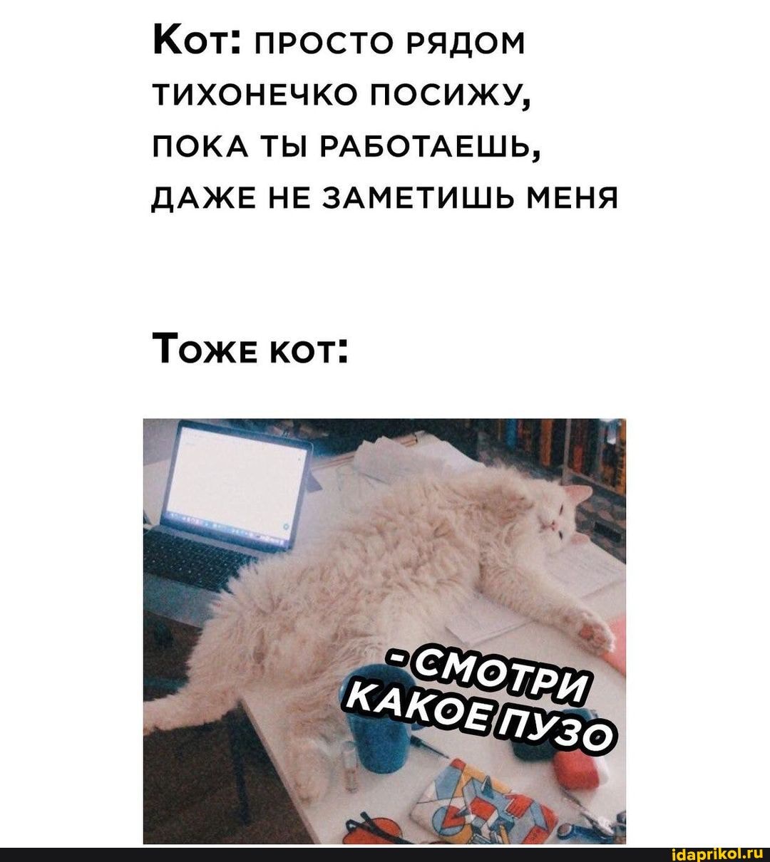 Кот: ПРОСТО РЯДОМ ТИХОНЕЧКО ПОСИЖУ,
ПОКА ТЫ РАБОТАЕШЬ,
ДАЖЕ НЕ ЗАМЕТИШЬ МЕНЯ
Тоже кот: