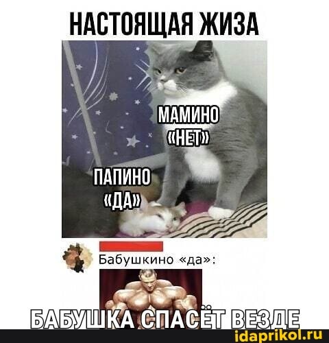 ЖИЗА
"НЕТ"
ПАПИНО
"ДА"
Бабушкино "да":
БАБУШКА ВЕЗИЕ