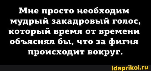 Мне просто необходим мудрый закадровый голос, который время от времени объяснял бы, что за фигня
происходит вокруг.