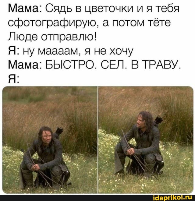 Мама: Сядь в цветочки и я тебя сфотографирую, а потом тёте
Люде отправлю!
Я: ну маааам, я не хочу
Мама: БЫСТРО. СЕЛ. В ТРАВУ.