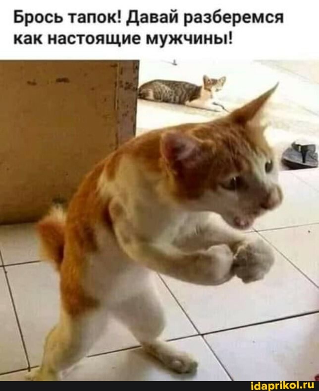 Брось тапок! Давай разберемся как настоящие мужчины!