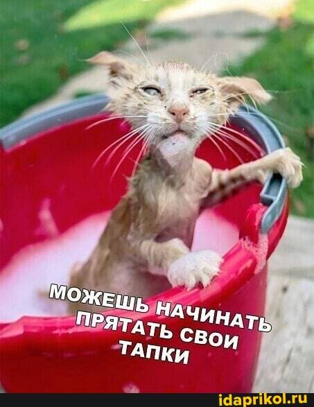 МОЖЕШЬ ПРЯТАТ