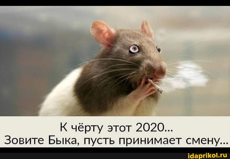 К чёрту этот 2020...
Зовите Быка, пусть принимает смену...