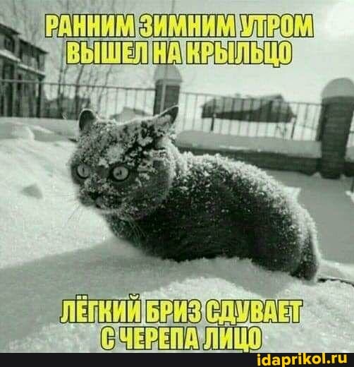 Нет слов :)
