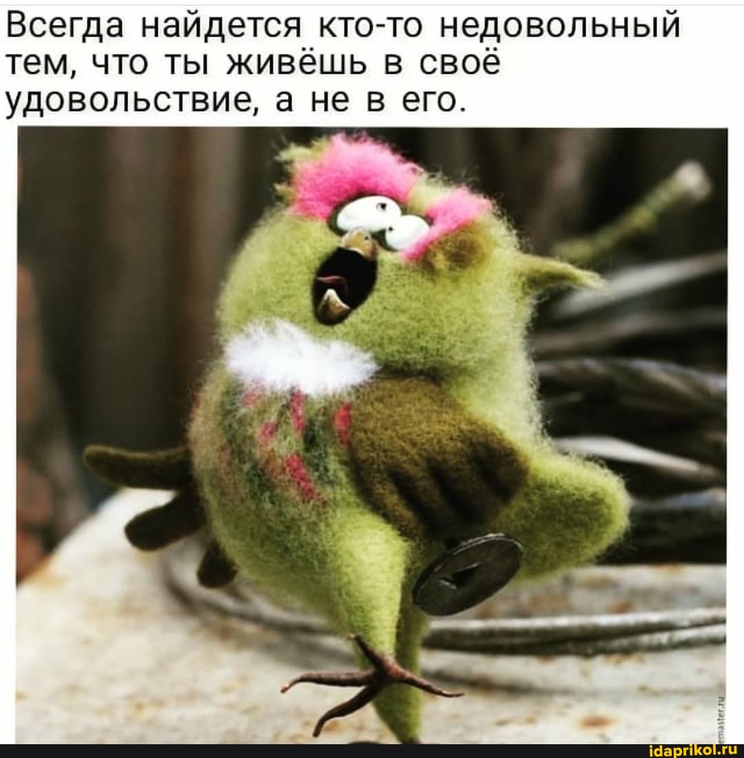 Всегда найдется кто-то недовольный тем, что ты живёшь в своё удовольствие, а не в его.