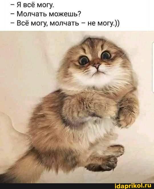 Я всё могу.
Молчать можешь?
Всё могу, молчать - не могу.)}