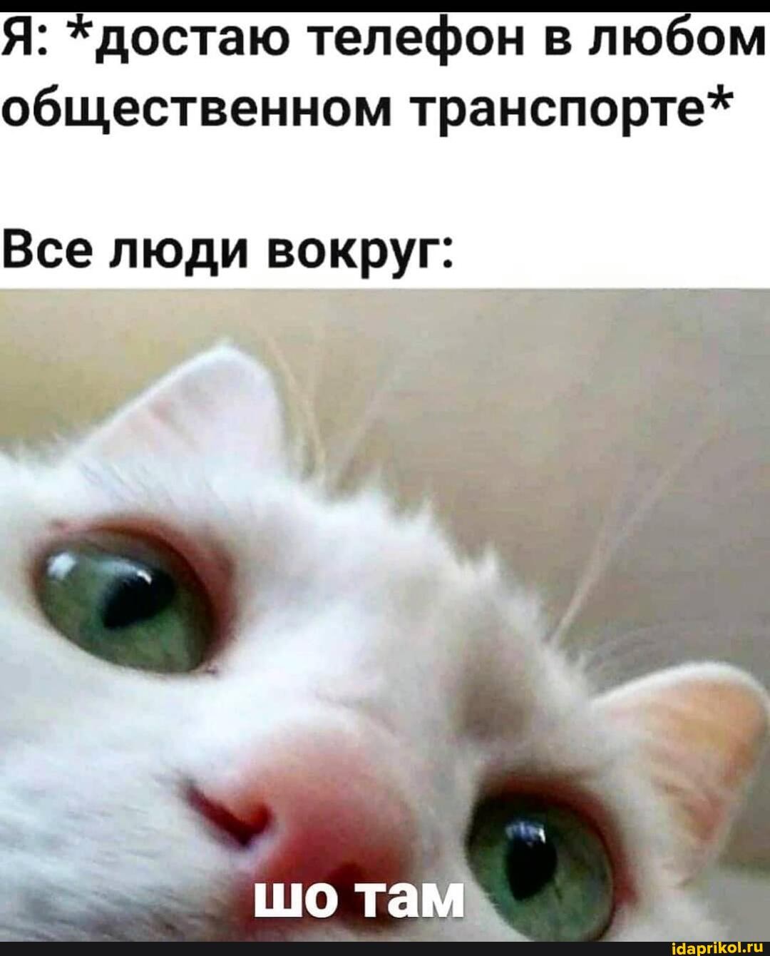 Я: *достаю телефон в любом общественном транспорте*
Все люди вокруг:
шо там
