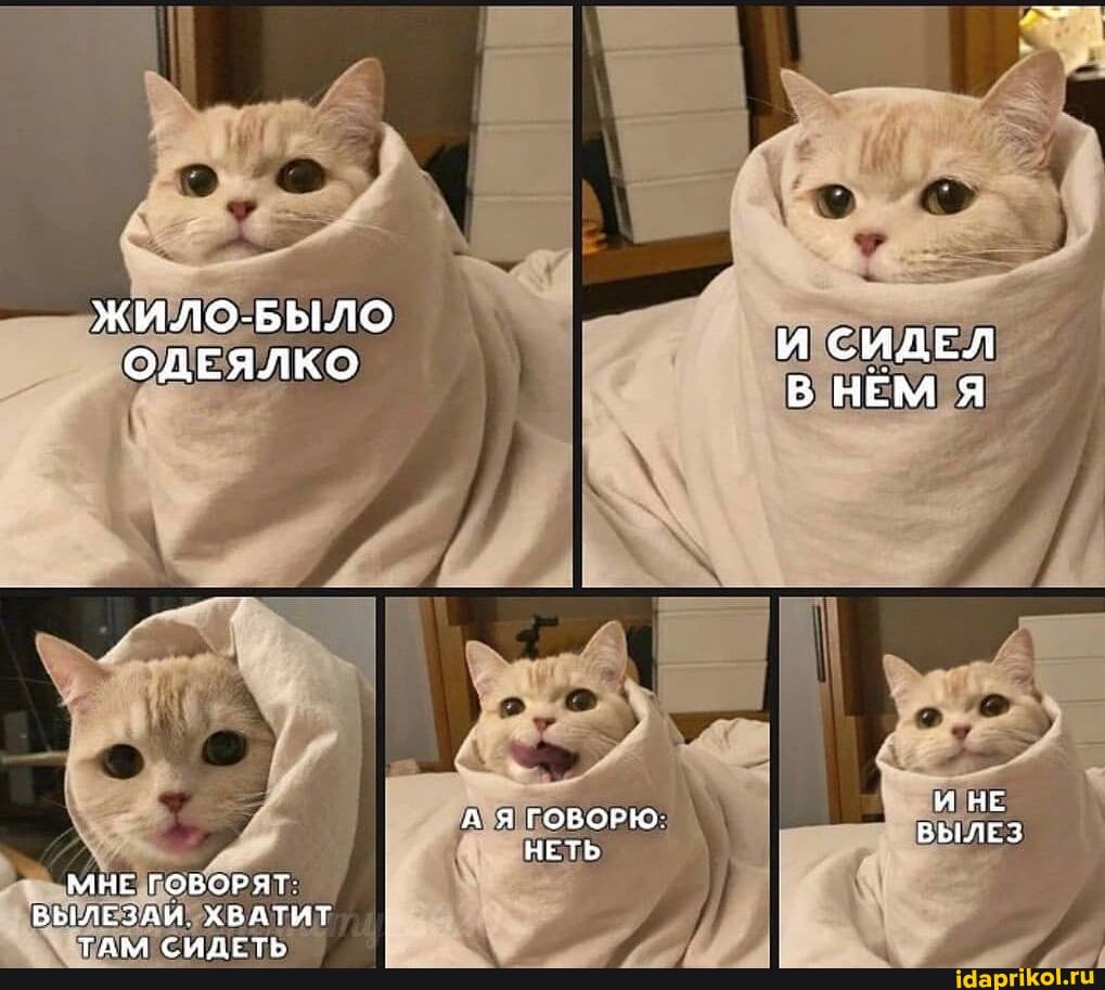 жило-БЫЛО ОДЕЯЛКО
ЯГОВОРЮ:
НЕТЬ МНЕ ГОВОРЯТ:
ВЫЛЕЗАИ. ХВАТИТ
И СИДЕЛ НЕМ Я
М НЕ ВЫЛЕЗ