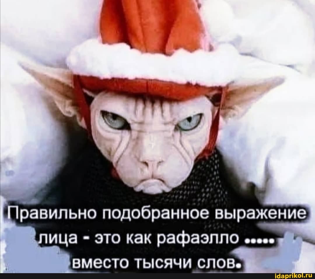 Правильно подобранное выражение ица - это как рафаэлло вместо тысячи слов.