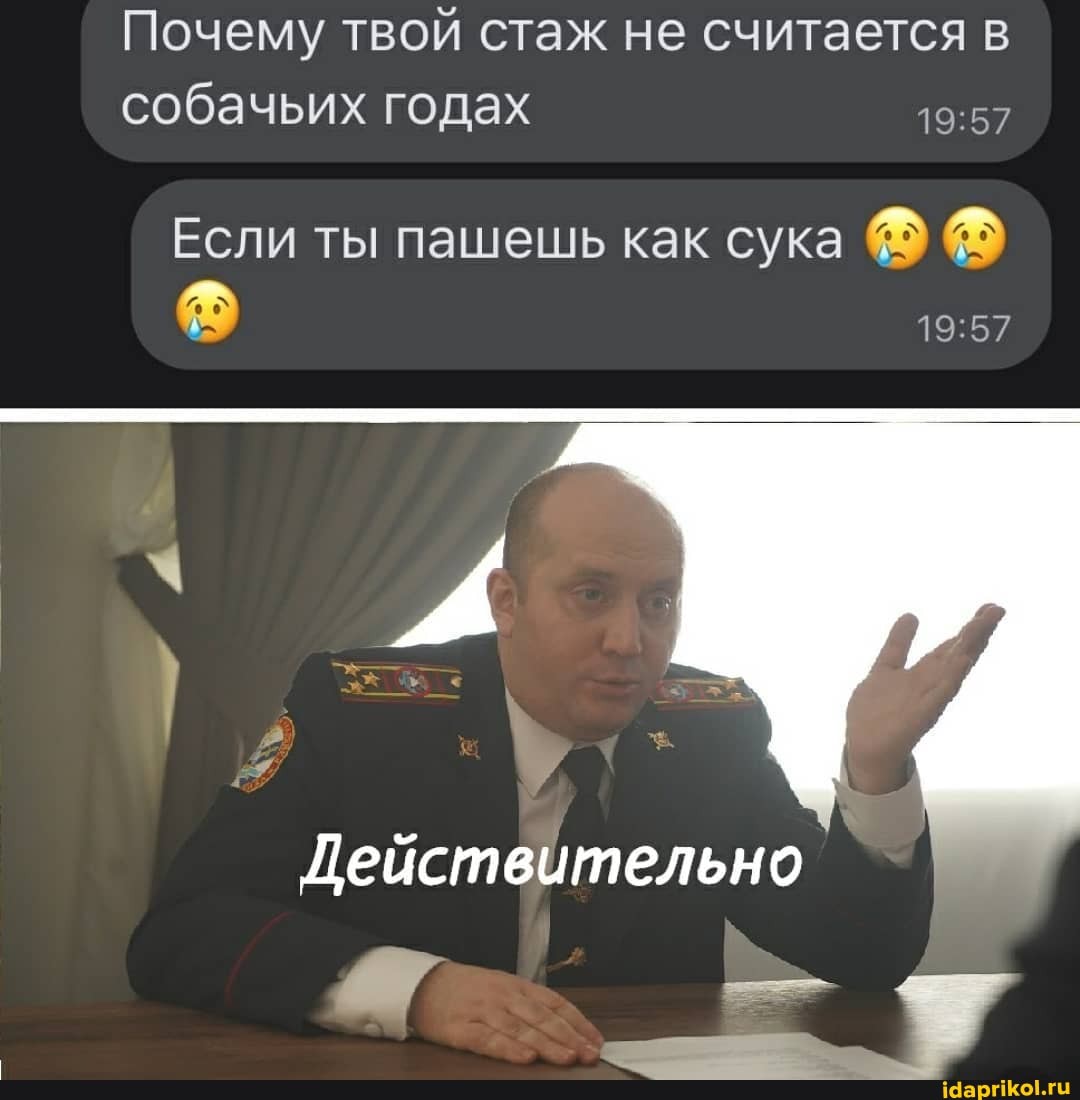 Почему твой стаж не считается собачьих годах
Если ты пашешь как сука
Лействительно