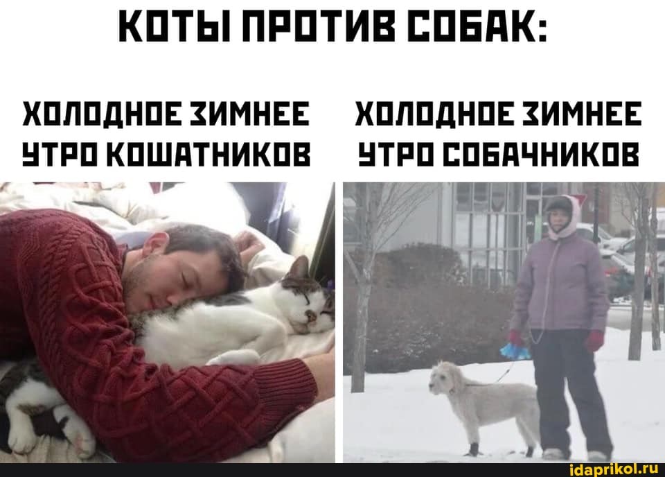 КОТЫ ПРОТИВ СОБАК:
ХОЛОДНОЕ ЗИМНЕЕ ХОЛОДНОЕ ЗИМНЕЕ УТРО КОШАТНИКОВ УТРО СОБАЧНИКОВ