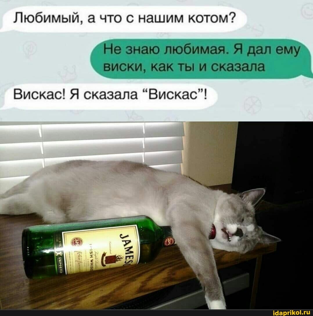 Любимый, а что с нашим котом?
Не знаю любимая. Я дал ему виски, как ты и сказала
Вискас! Я сказала "Вискас"!