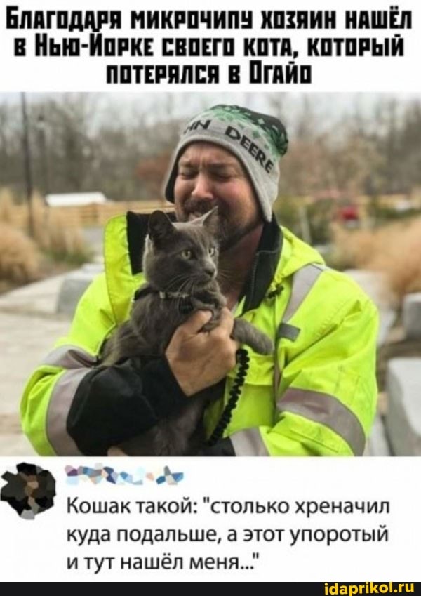 БЛАГОДАРЯ МИКРОЧИПУ ХОЗЯИН НАШЁЛ В НЬЮ-ИОРКЕ СВОЕГО КОТА, КОТОРЫЙ ПОТЕРЯЛСЯ ОГАЙО
Кошак такой: "столько хреначил
куда подальше, а этот упоротый и тут нашёл меня..."