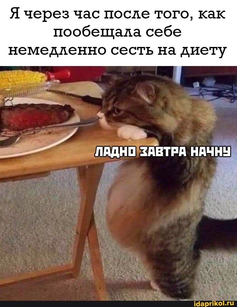 Я через час после того, как пообещала себе
немедленно сесть на диету
ЛАДНО ЗАВТРА НАЧНУ