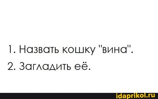 1. Назвать кошку "вина".
2. Загладить её.