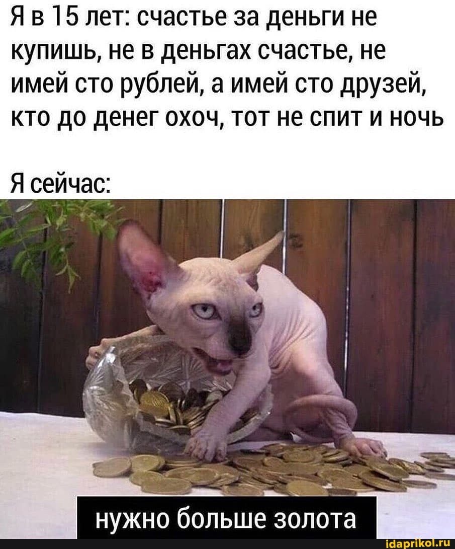Яв 15 лет: счастье за деньги не
купишь, не в деньгах счастье, не
имей сто рублей, а имей сто друзей,
кто до денег охоч, тот не спит и ночь
Я сейчас: