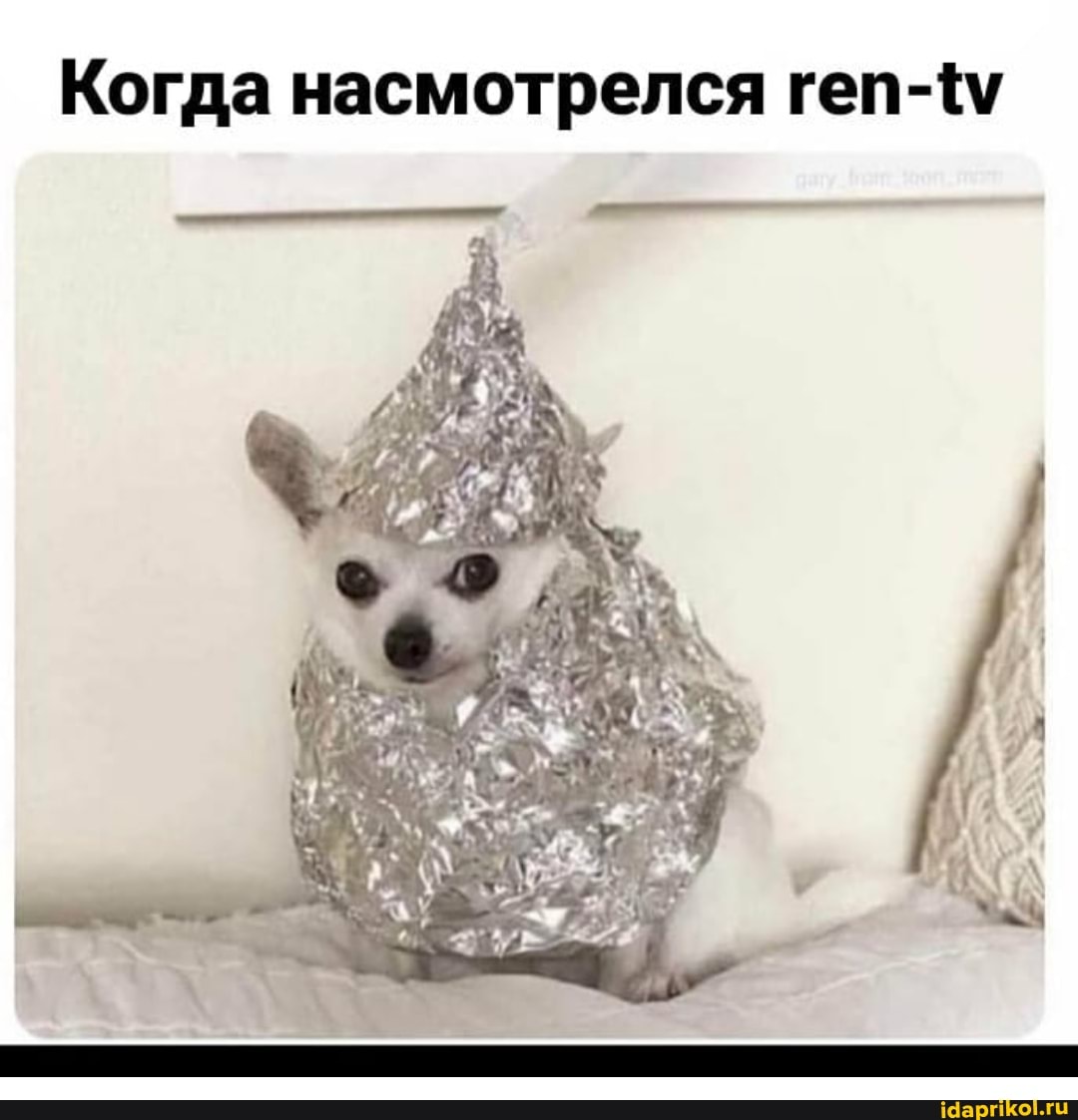 Когда насмотрелся геп-{\