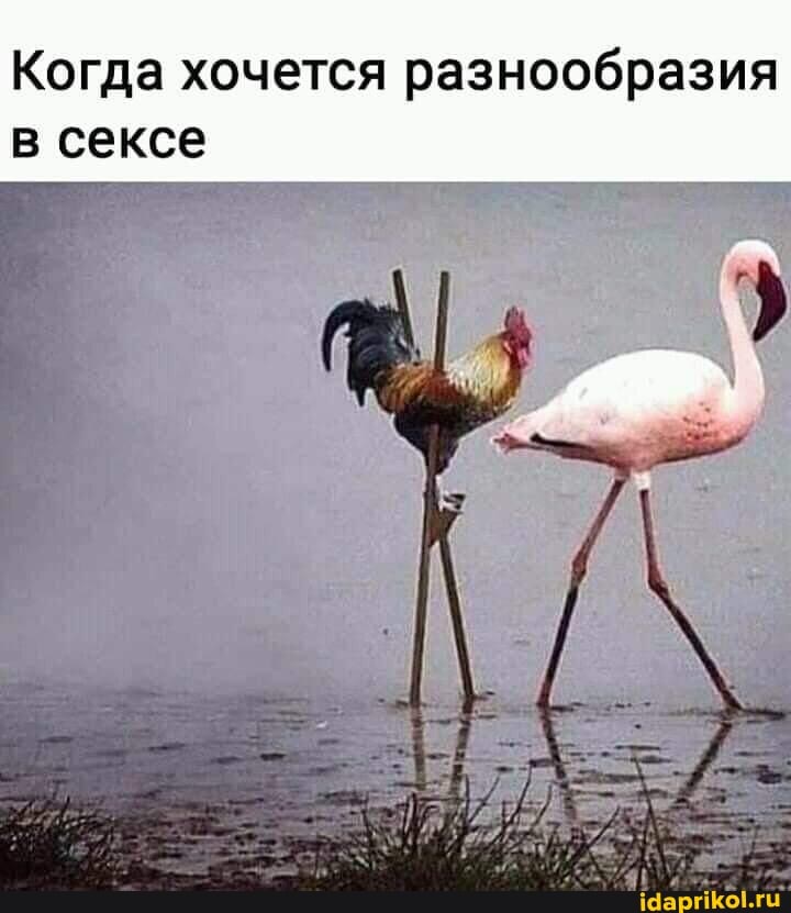 Когда хочется разнообразия в сексе