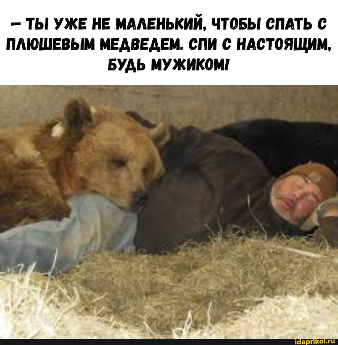 - ТЫ УЖЕ НЕ МАЛЕНЬКИЙ, ЧТОБЫ СПАТЬ ПЛЮШЕВЫМ МЕДВЕДЕМ. СПИ С НАСТОЯЩИМ,
БУДЬ МУЖИКОМ!